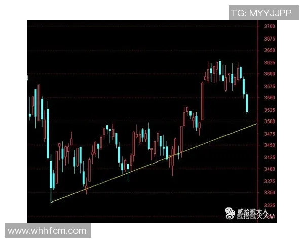 杭州篮球队与南京篮球队赛后复盘实力对比分析与未来展望