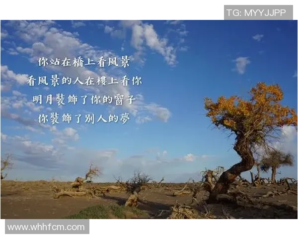 深度对话赵军探讨足球人生与职业生涯的心路历程与成长故事 深度对话赵军探讨足球人生与职业生涯的心路历程与成长故事