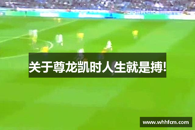 关于尊龙凯时人生就是搏!